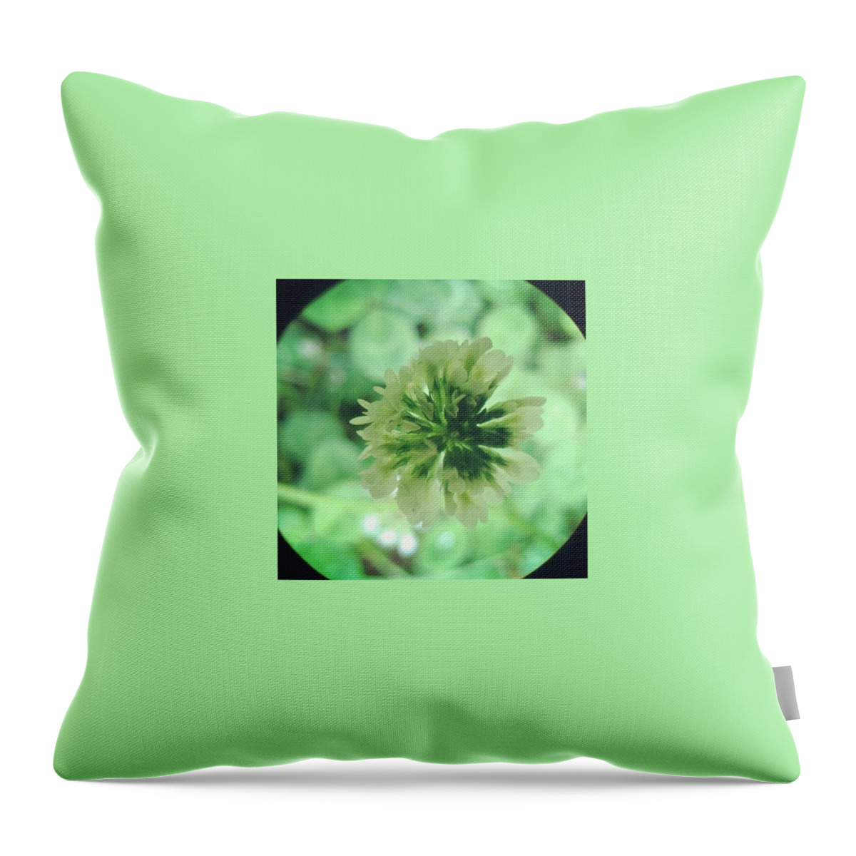 Clover Throw Pillow featuring the photograph Clover Flower by Vicki Field