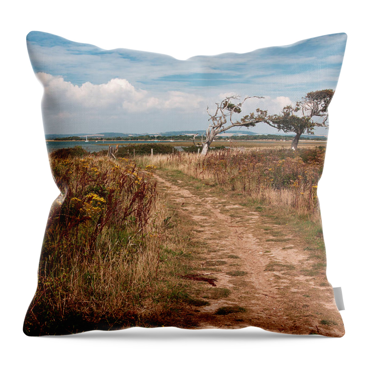 Path Throw Pillow featuring the photograph Coastal Path by Shirley Mitchell