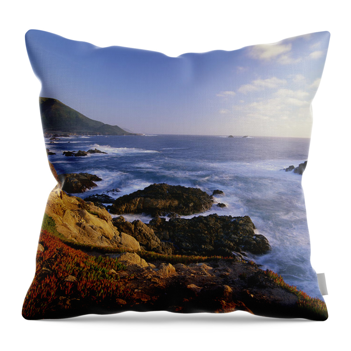 00174722 Throw Pillow featuring the photograph Coastline Big Sur Garrapata State Beach by Tim Fitzharris