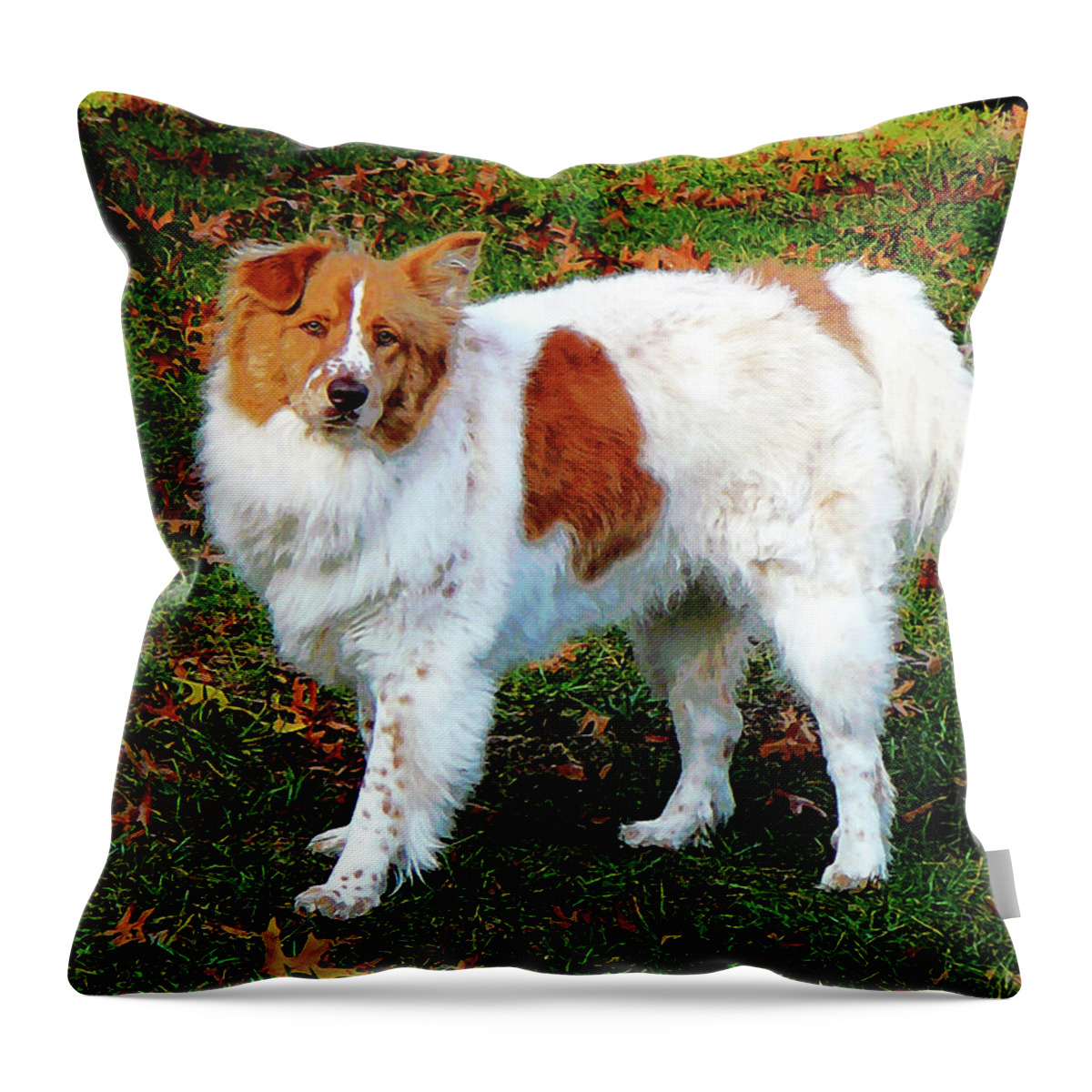 Dog Throw Pillow featuring the photograph Australian Shepherd on Lawn by Susan Savad