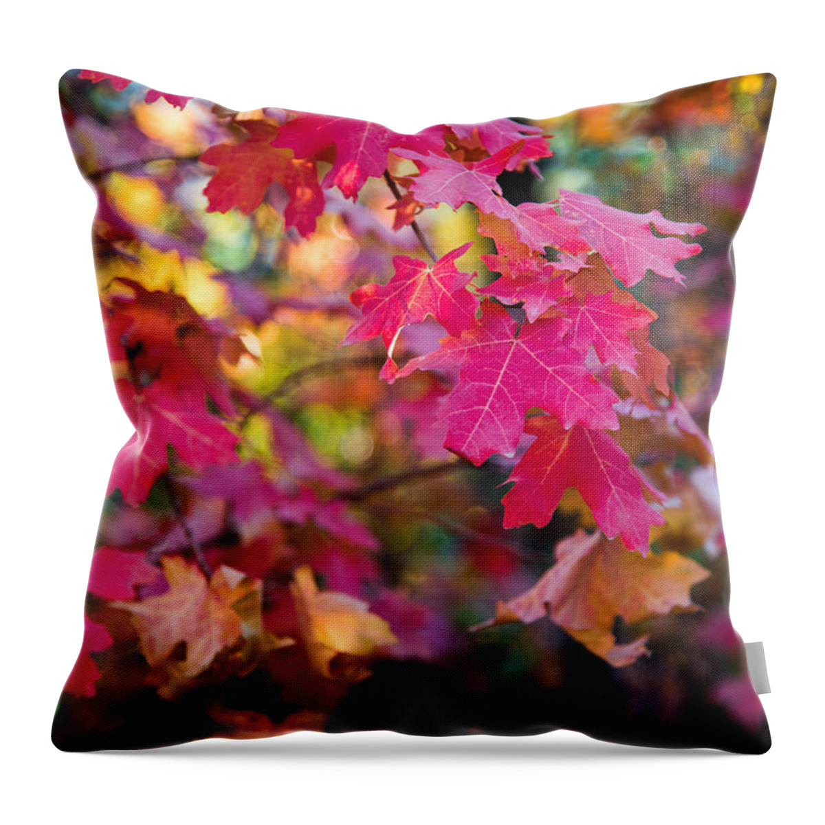 Nature Throw Pillow featuring the photograph Color by Chad Dutson