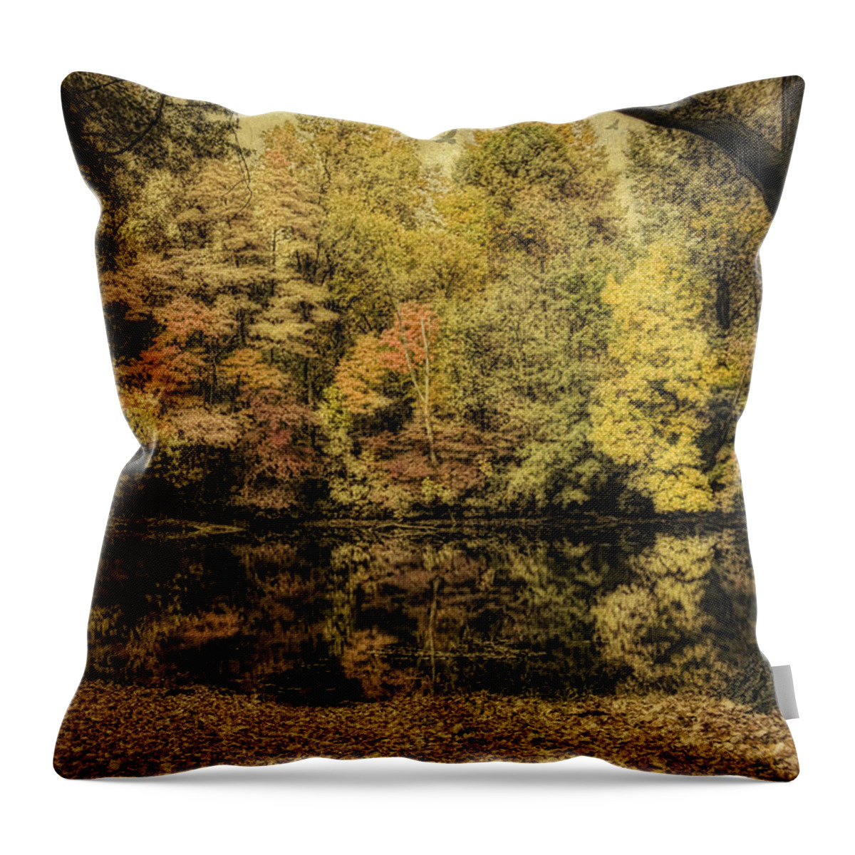 Fall Throw Pillow featuring the photograph Color Splash by Mary Timman