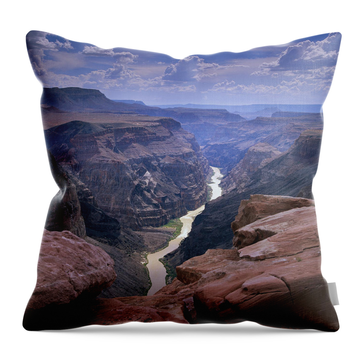 00174880 Throw Pillow featuring the photograph Colorado River Grand Canyon National by Tim Fitzharris