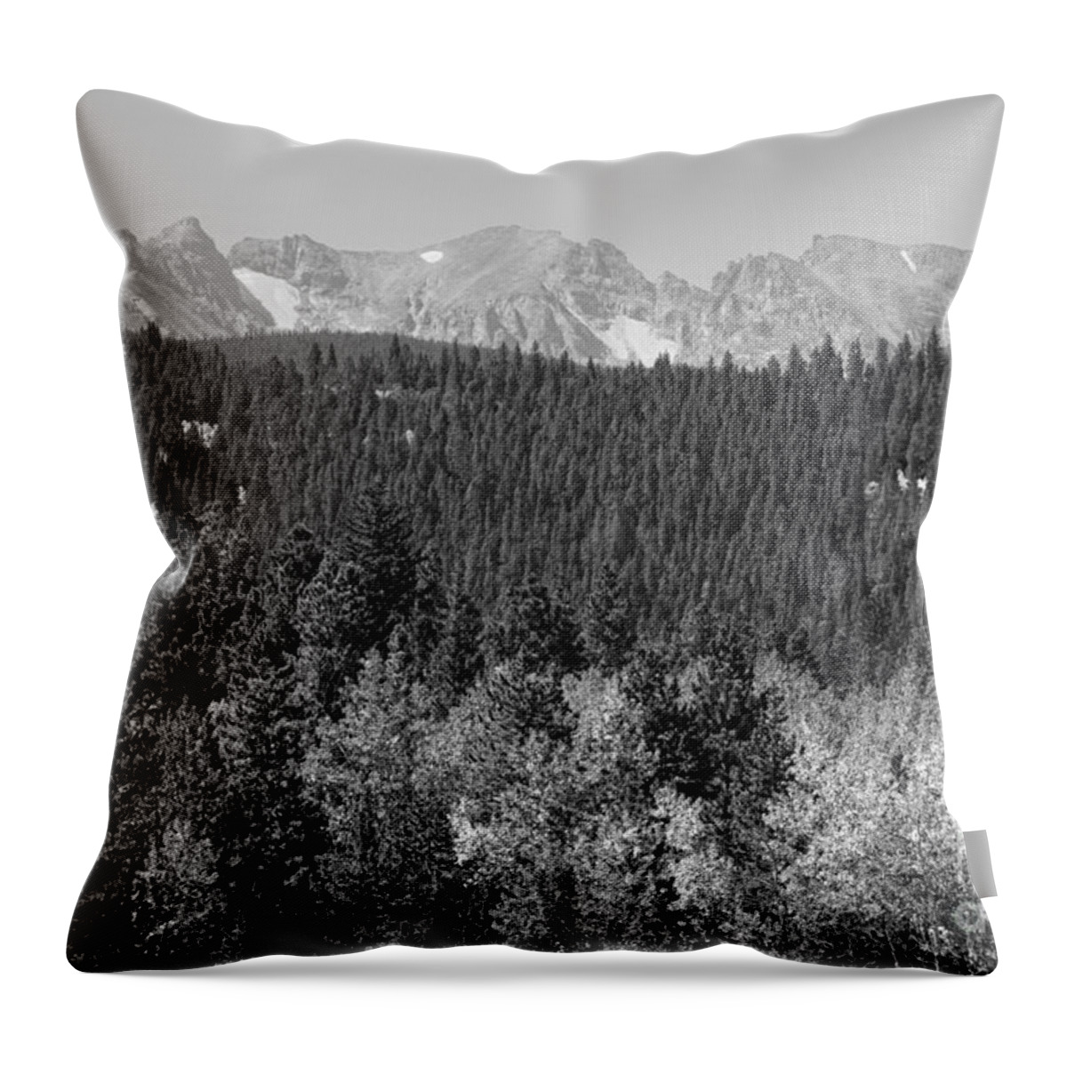 Colorado Throw Pillow featuring the photograph Colorado Rocky Mountain Continental Divide View BW by James BO Insogna