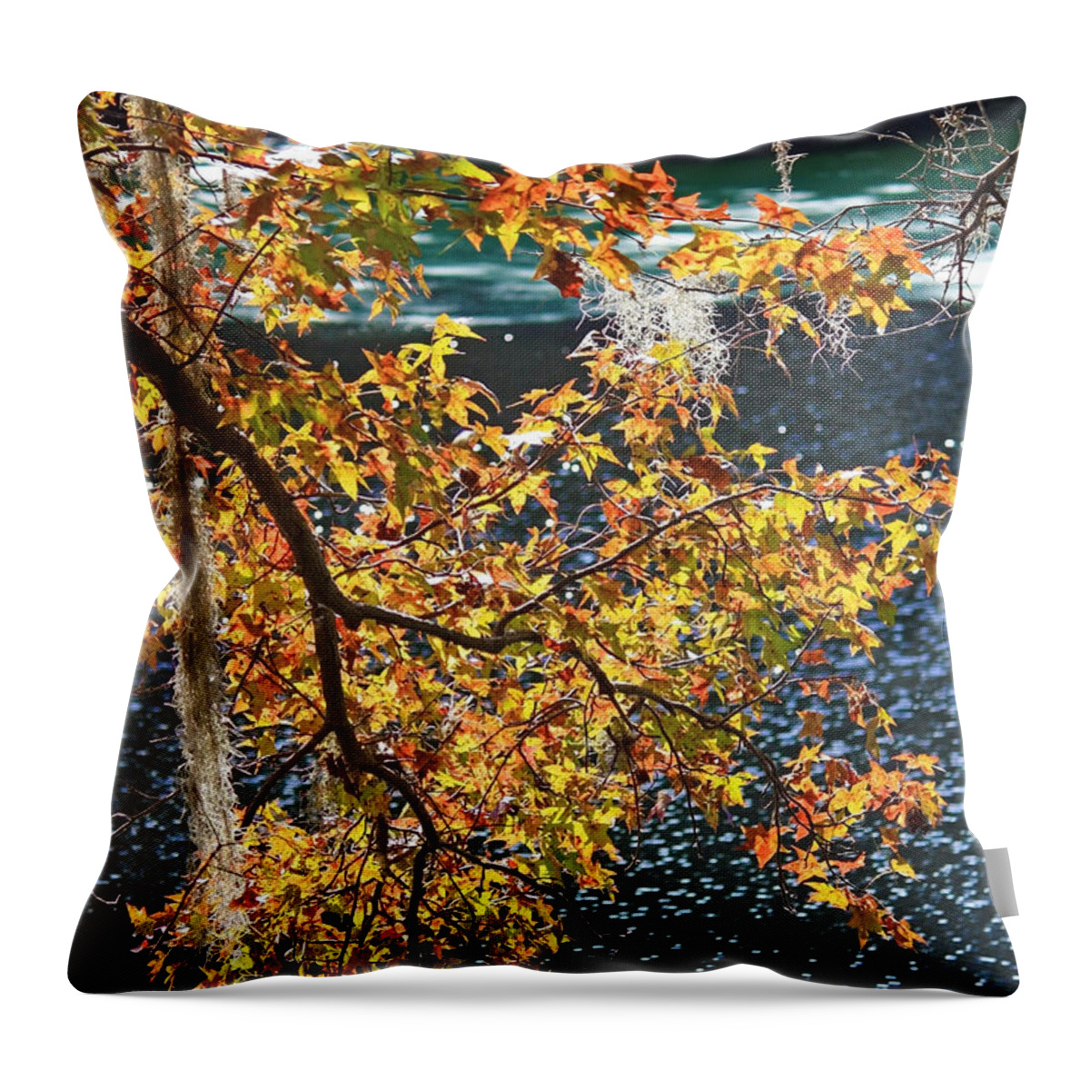 Fall Leaves Throw Pillow featuring the photograph Colorful Fall Leaves over Blue Water by Carol Groenen