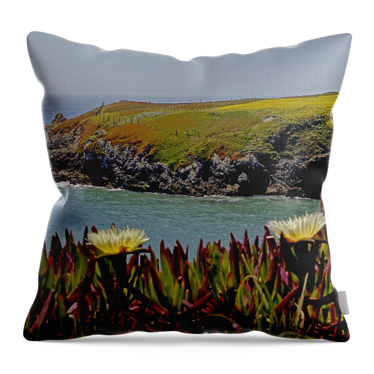 Northern California Throw Pillow featuring the photograph Colorful Point by Mick Anderson