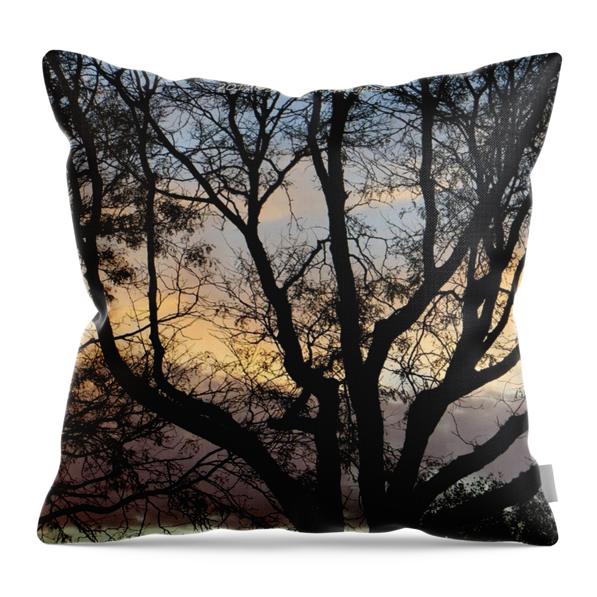 Evening About To Throw Pillow featuring the photograph Colours of the Dusk by Sonali Gangane