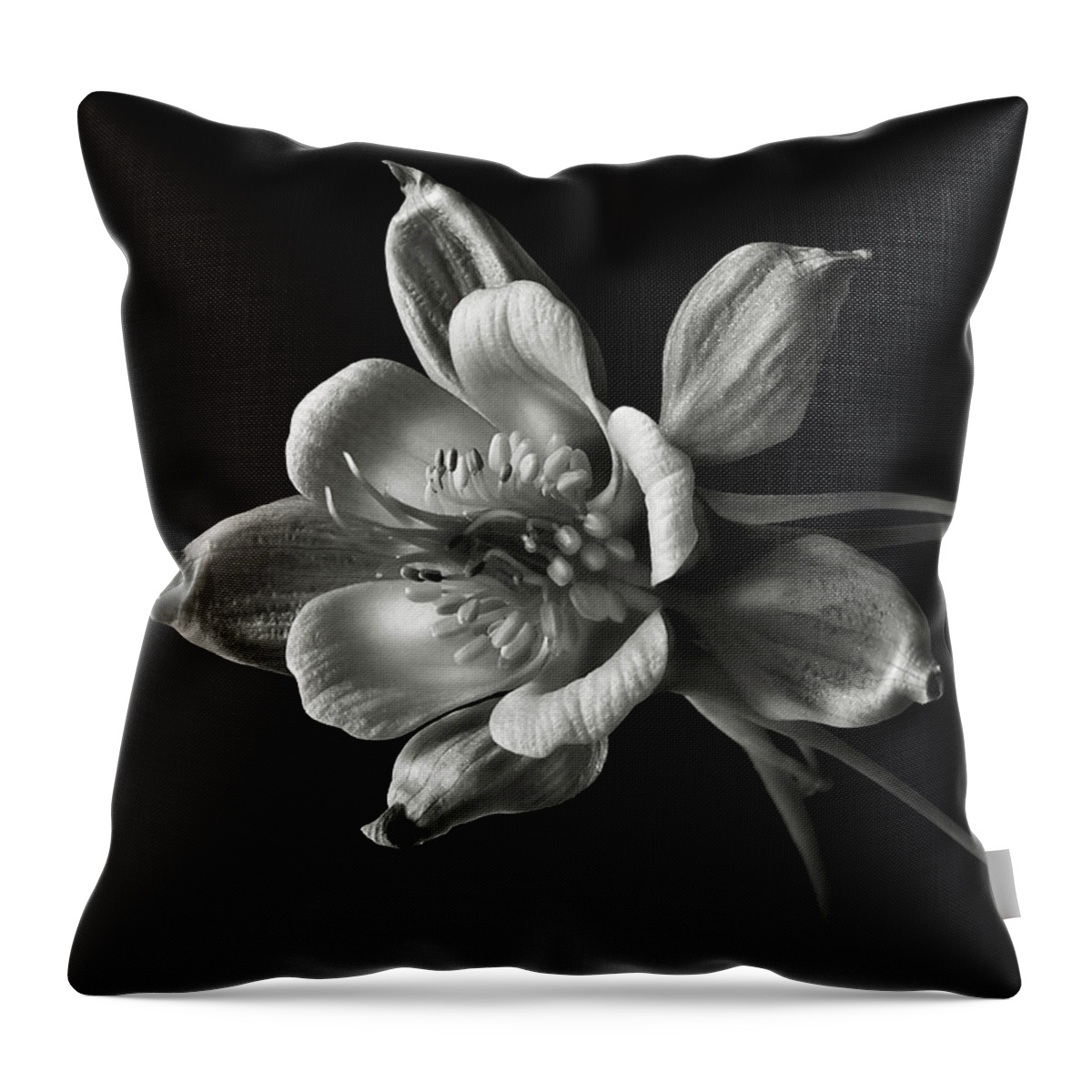 Flower Throw Pillow featuring the photograph Columbine in Black and White by Endre Balogh