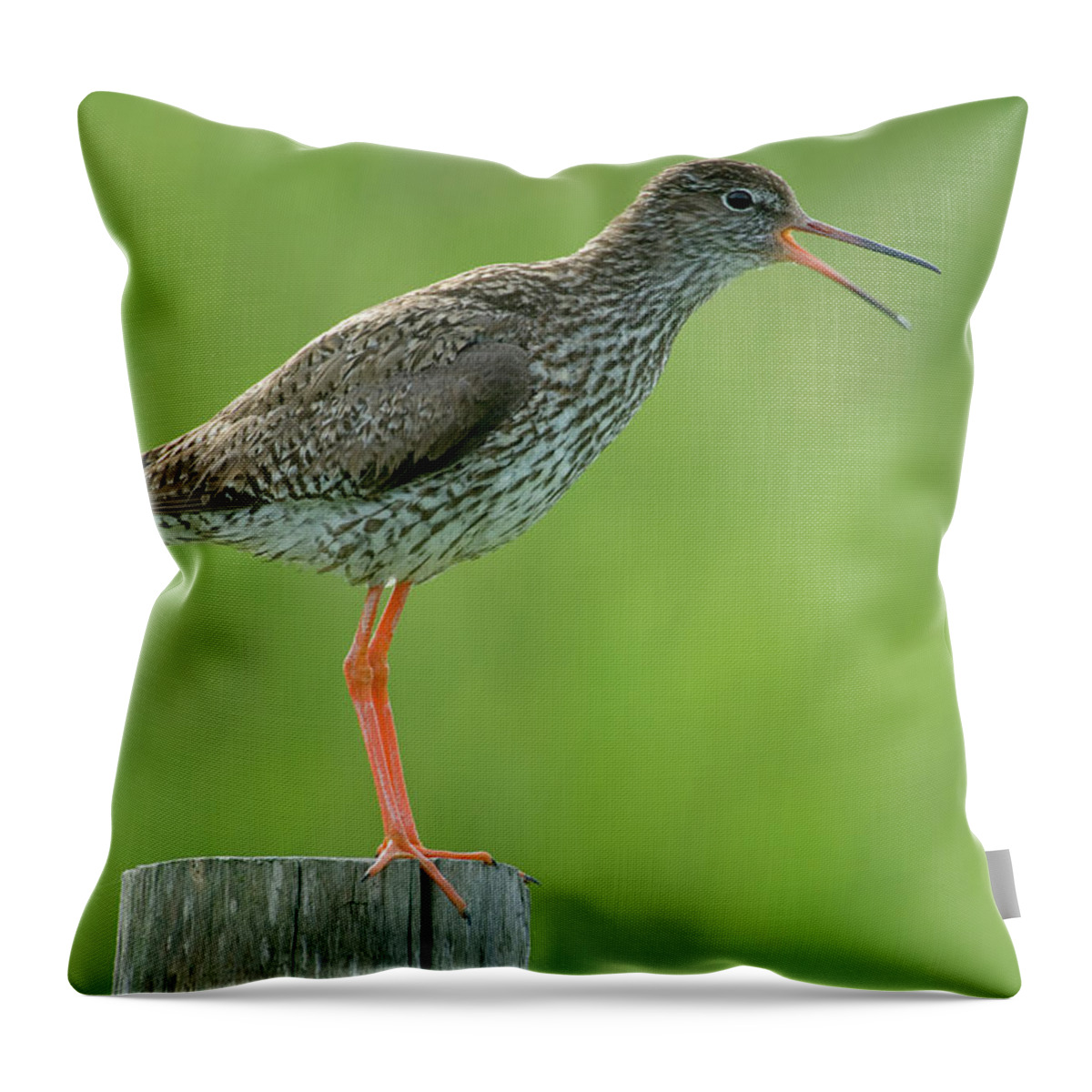 00286624 Throw Pillow featuring the photograph Common Redshank Calling by Do Van Dijck