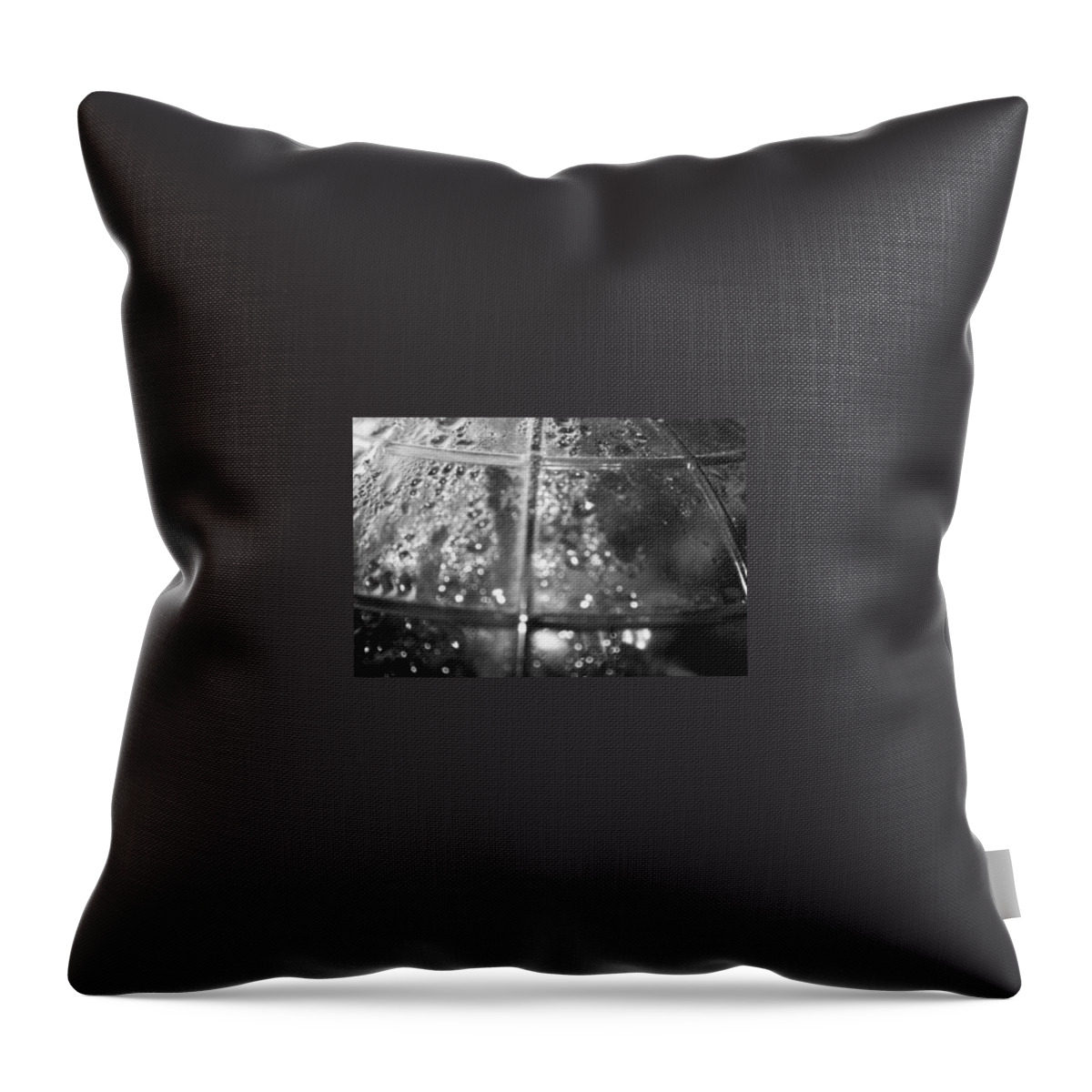 Water Throw Pillow featuring the photograph Condensate by Samantha Lusby