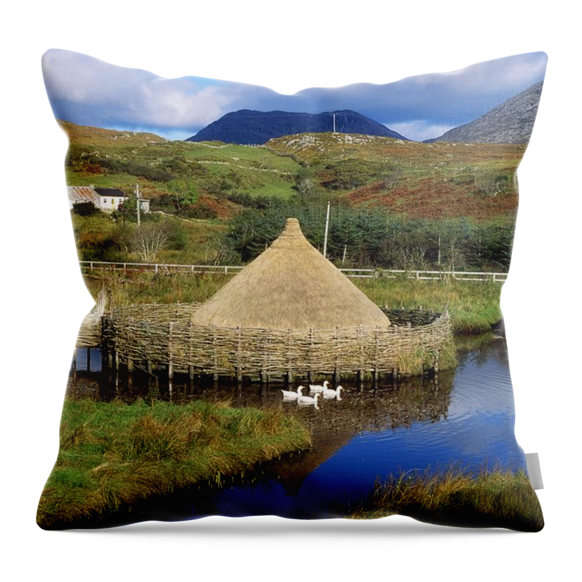 Building Throw Pillow featuring the photograph Connemara Heritage And History Centre by The Irish Image Collection 
