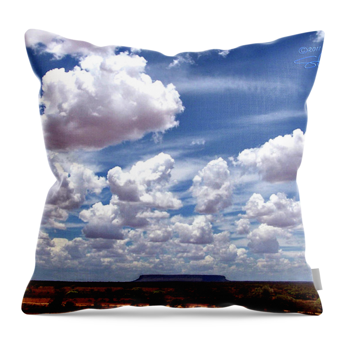 Outback Throw Pillow featuring the photograph Conner's Rock by S Paul Sahm