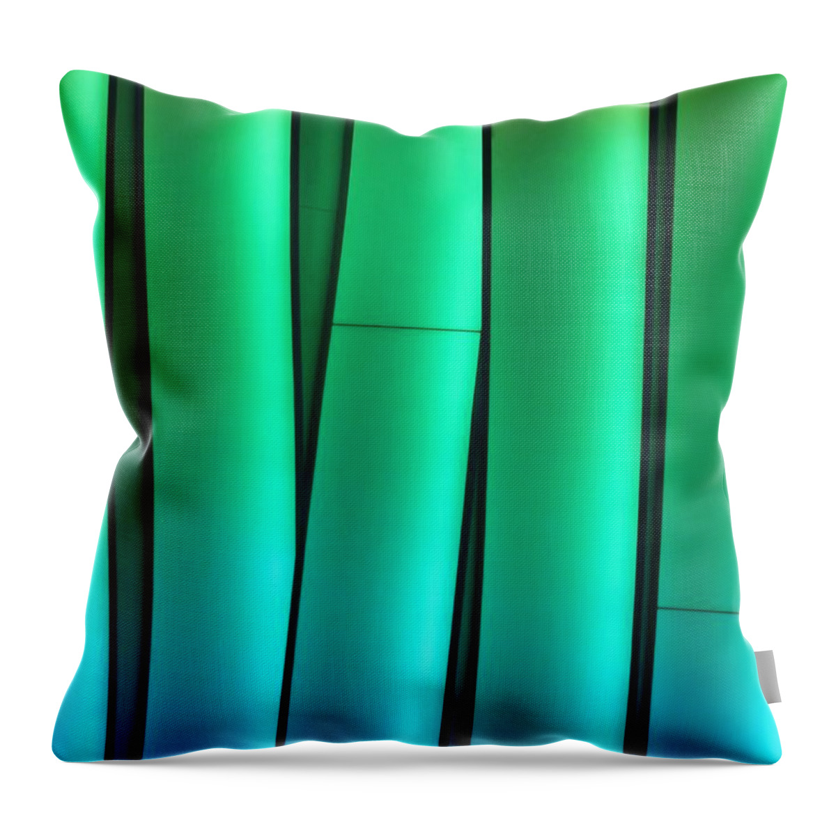 Wave Throw Pillow featuring the photograph Cool Waves of Light by Sabrina L Ryan