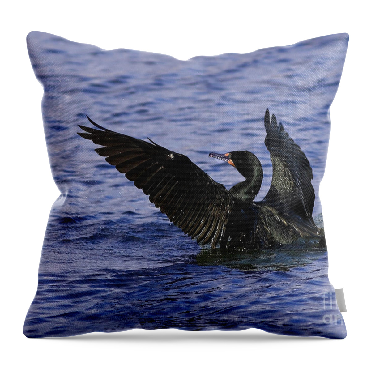 Cormorant Prepares For Flight Throw Pillow featuring the photograph Cormorant Prepares for Flight by Inspired Nature Photography Fine Art Photography