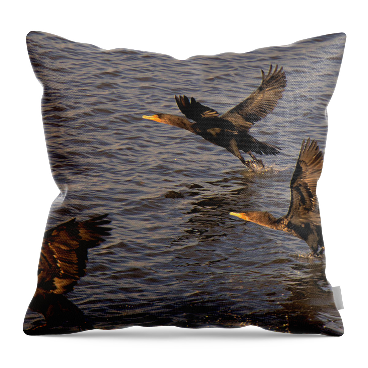 Cormorants Throw Pillow featuring the photograph Cormorants in Flight 1 by Lawrence Christopher