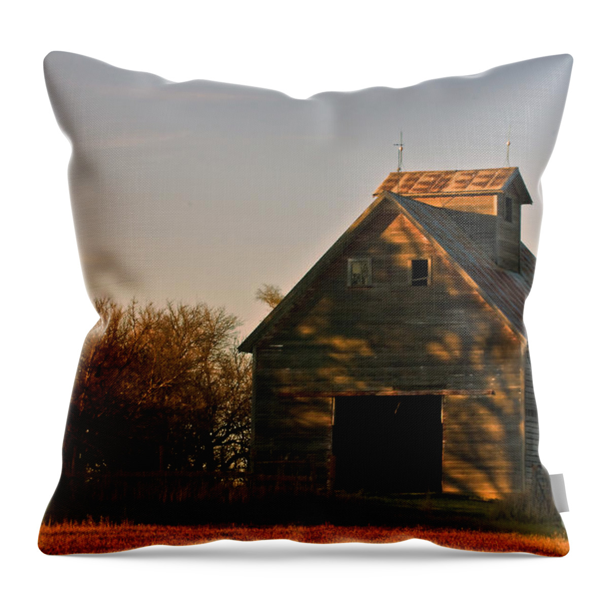 Barns Throw Pillow featuring the photograph Corn Crib at Sunset by Ed Peterson