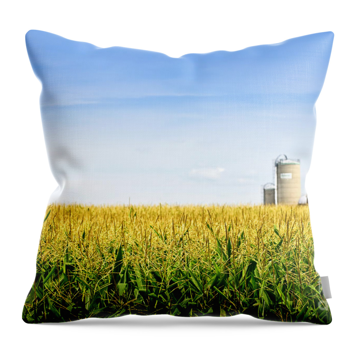Agriculture Throw Pillow featuring the photograph Corn field with silos 2 by Elena Elisseeva