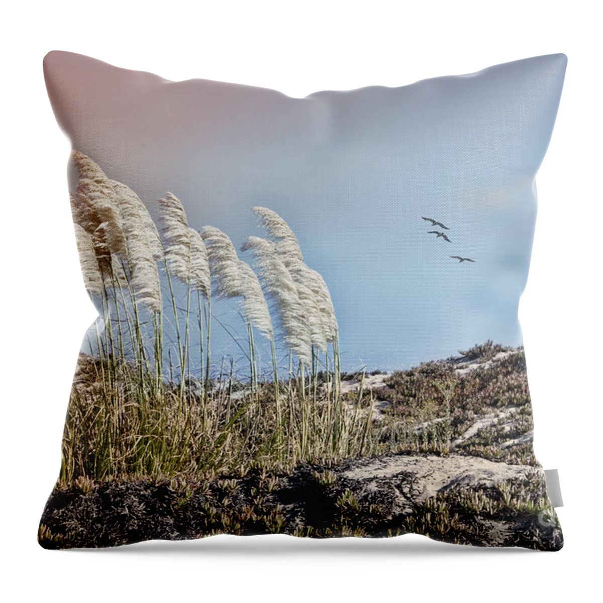 Pampas Grass Throw Pillow featuring the photograph Coronado Island Pampas Grass by Betty LaRue