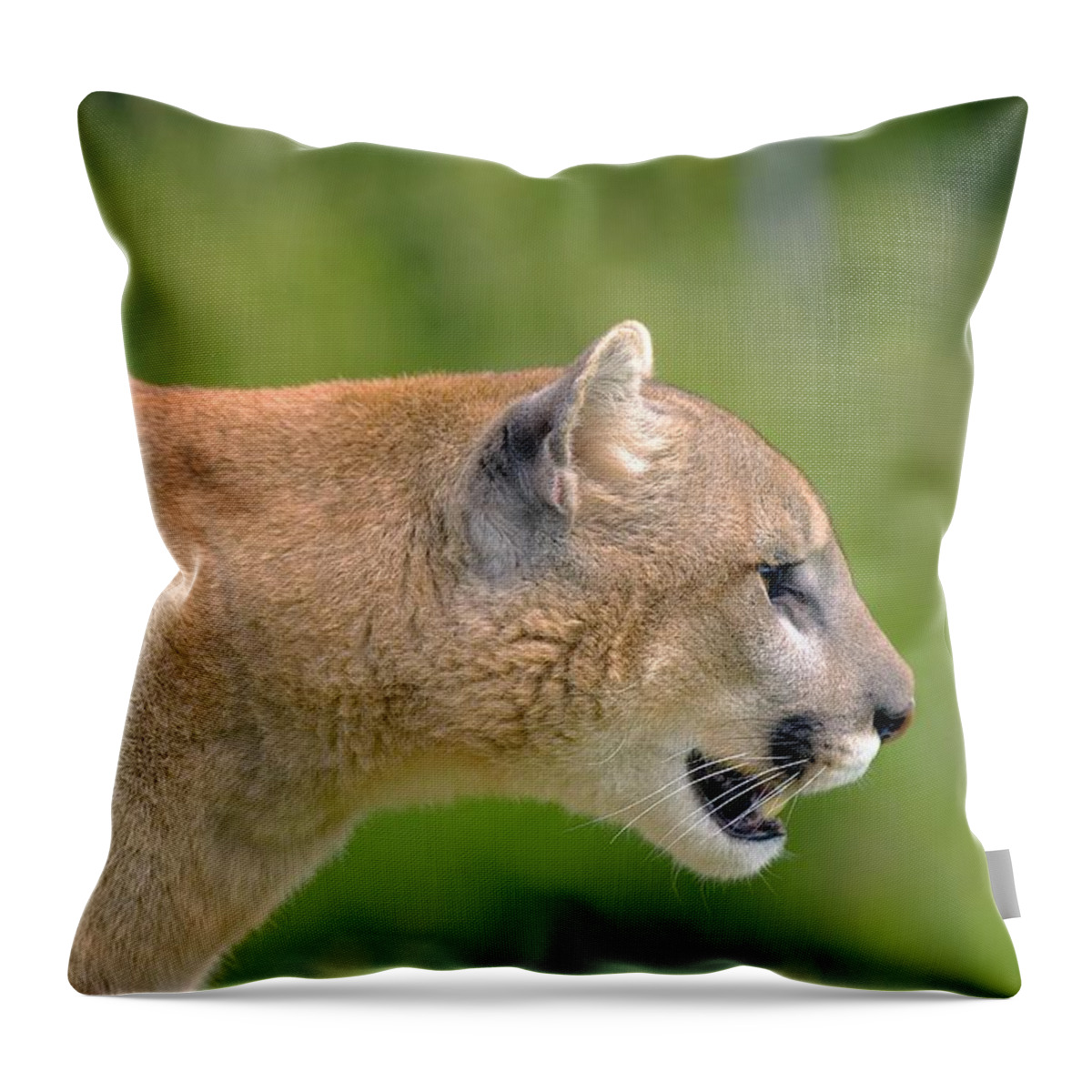 Outdoors Throw Pillow featuring the photograph Cougar Profile by John Pitcher