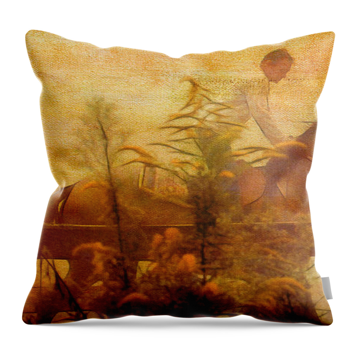 Breezing Throw Pillow featuring the photograph Country Morning Breeze by Judi Bagwell