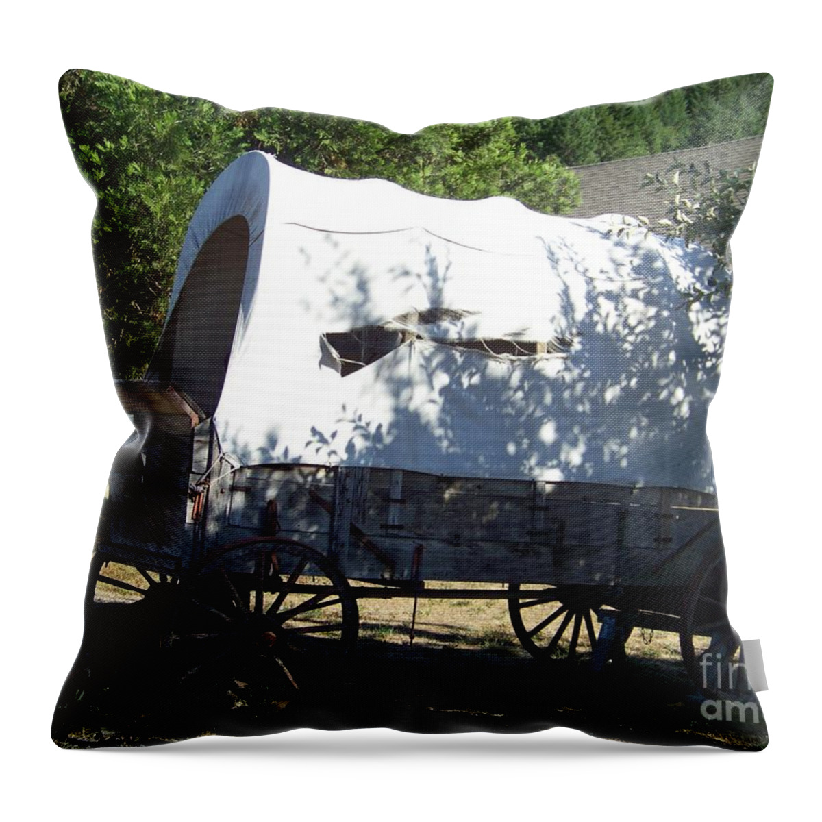 Wagon Throw Pillow featuring the photograph Covered Wagon by Charles Robinson