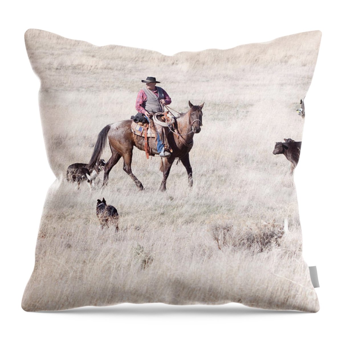 Cowboy Throw Pillow featuring the photograph Cowboy by Cindy Singleton