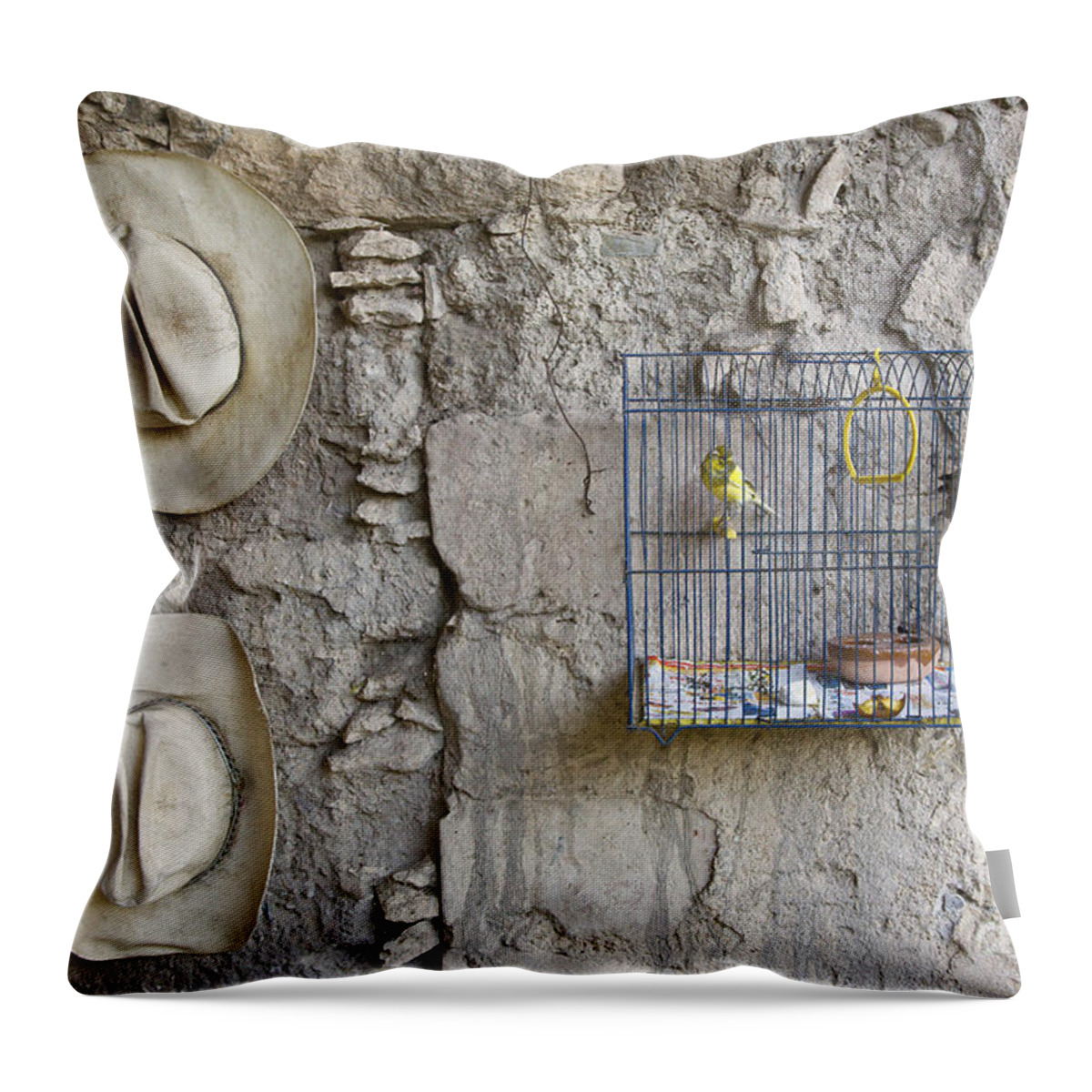 Craig Lovell Throw Pillow featuring the photograph Cowboy Hats and Parakeets by Craig Lovell