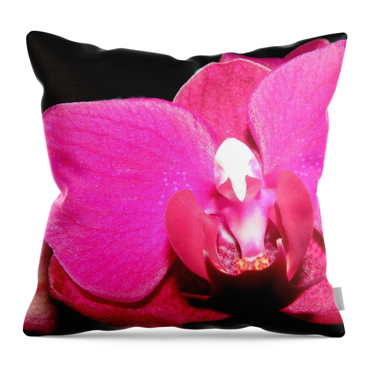 Fuschia Throw Pillow featuring the photograph Craving Fuschia by Kim Galluzzo