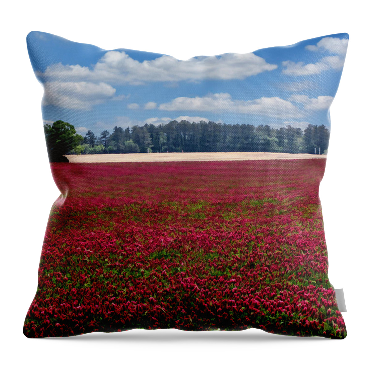 Crimson Clover Throw Pillow featuring the photograph Crimson Wonderland by Kathy Clark