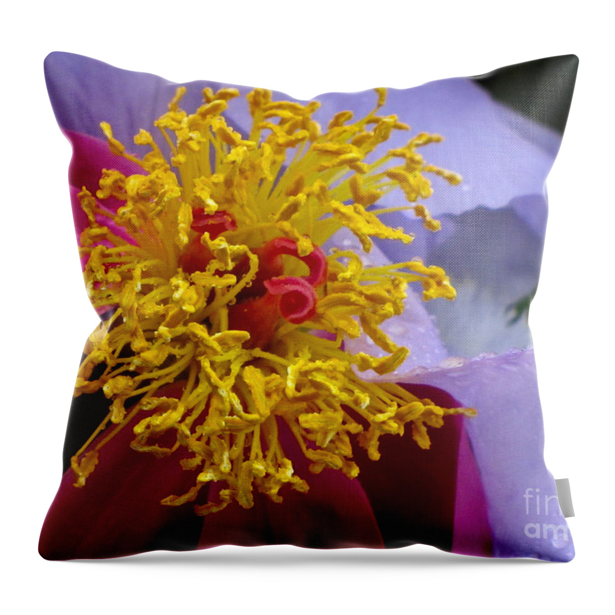 Photography Throw Pillow featuring the photograph Crown of Gold by Sean Griffin