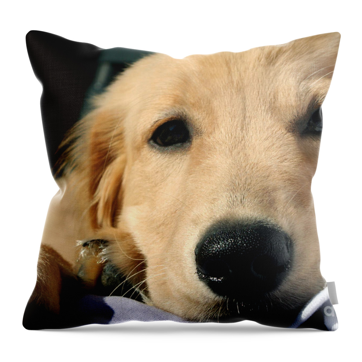 Adorable Throw Pillow featuring the photograph Cuddly Puppy by Susan Stevenson