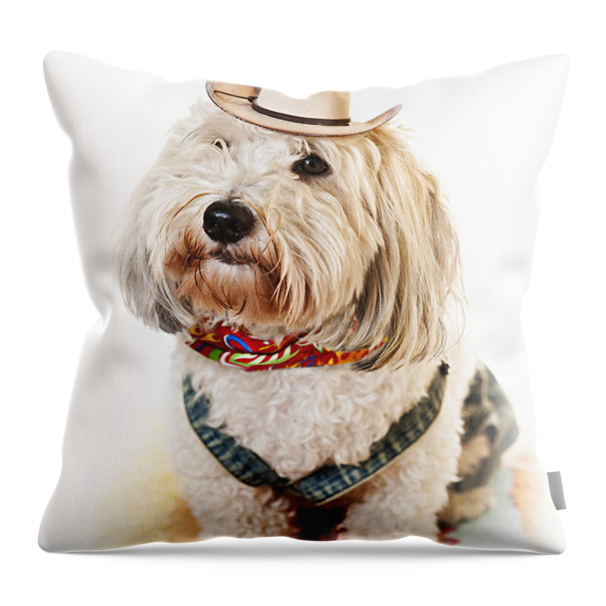 Dog Throw Pillow featuring the photograph Cute dog in Halloween cowboy costume by Elena Elisseeva