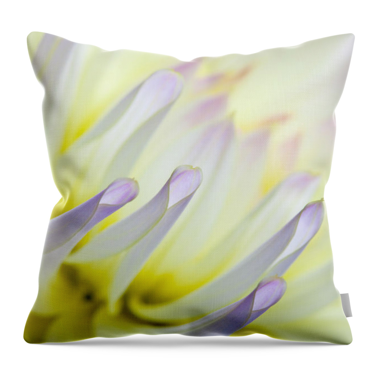 Dahlia Throw Pillow featuring the photograph Dahlia Flower 09 by Nailia Schwarz