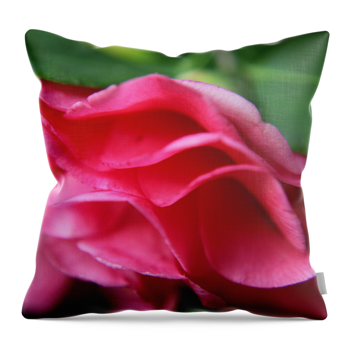 Flowers Throw Pillow featuring the photograph Dancing Petals of the Camellia by Portraits By NC
