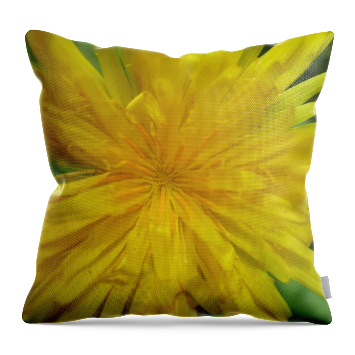Dandelion Throw Pillow featuring the photograph Dandelion Close Up by Kym Backland