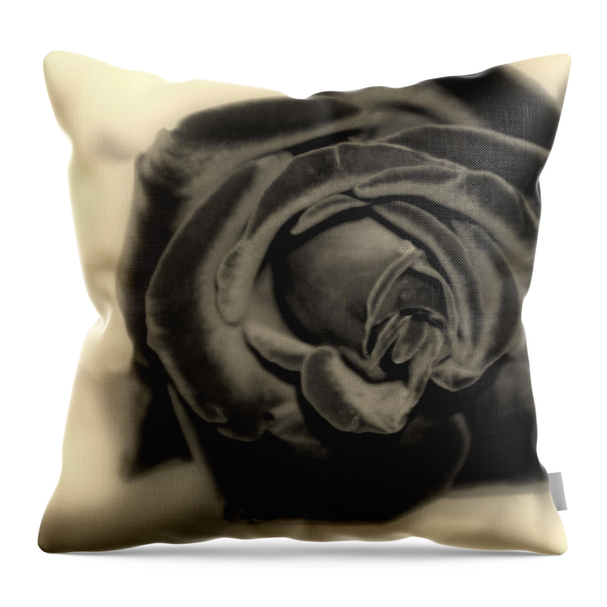 Dark Throw Pillow featuring the photograph Dark Beauty by Kay Novy
