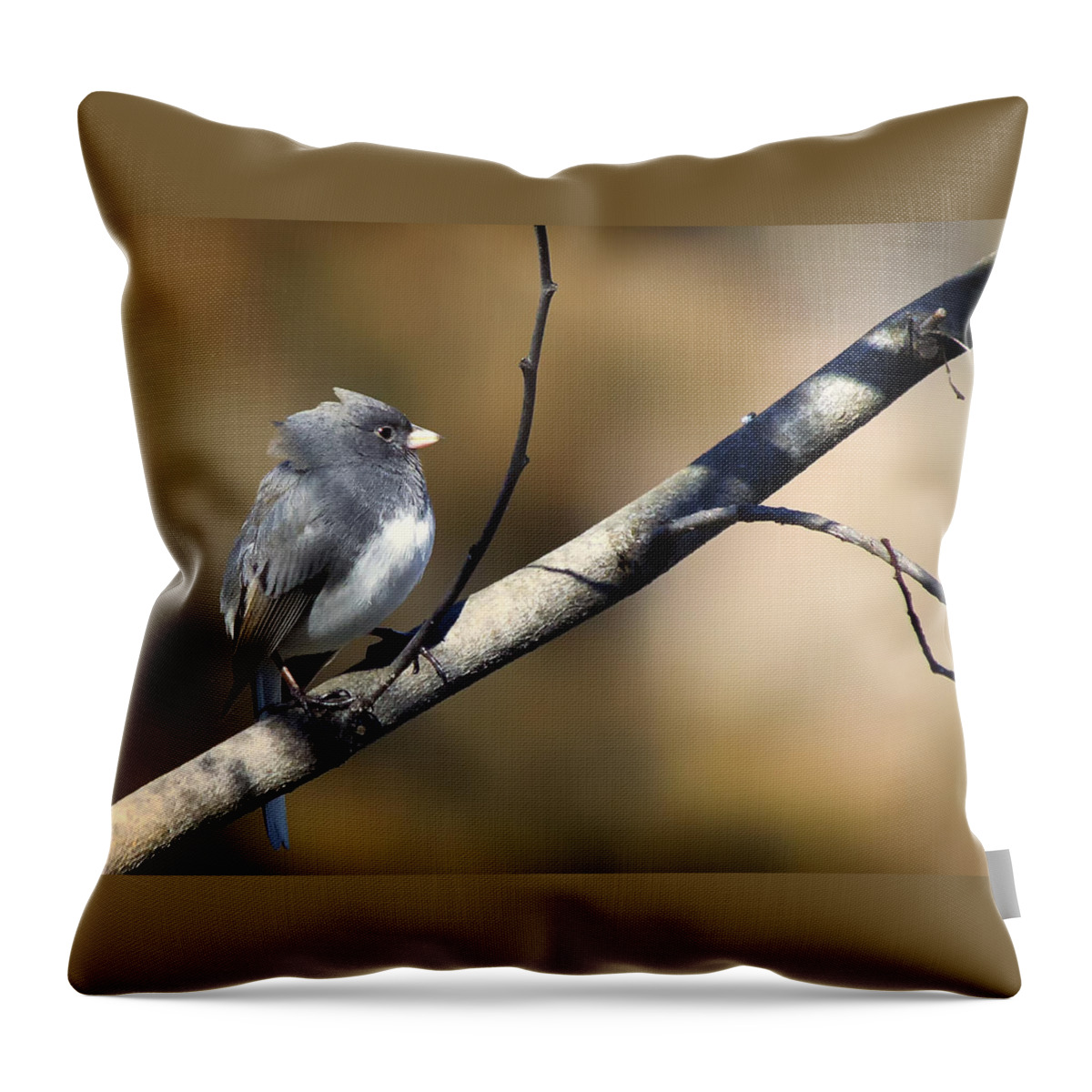 Bird Throw Pillow featuring the photograph Dark-Eyed Junco by Bill and Linda Tiepelman