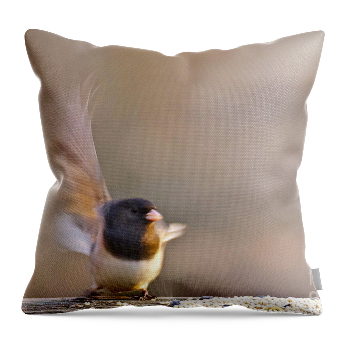 Photography Throw Pillow featuring the photograph Dark-eyed Junco Taking Flight by Sean Griffin