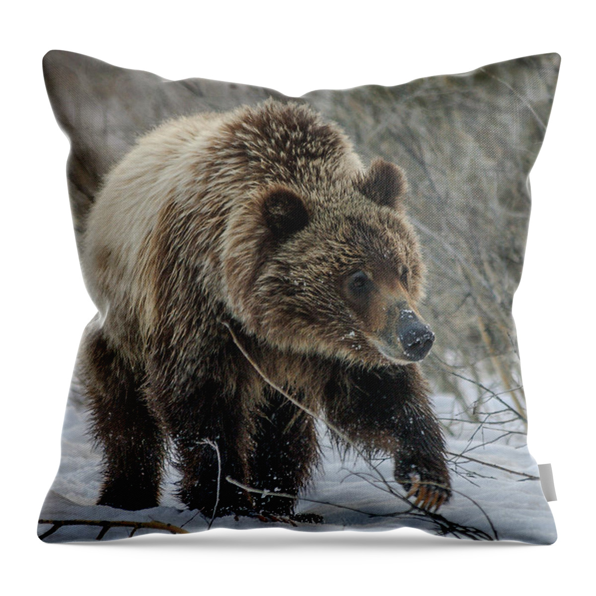 Bear Throw Pillow featuring the photograph Dashing Through the Snow by Charlie Choc