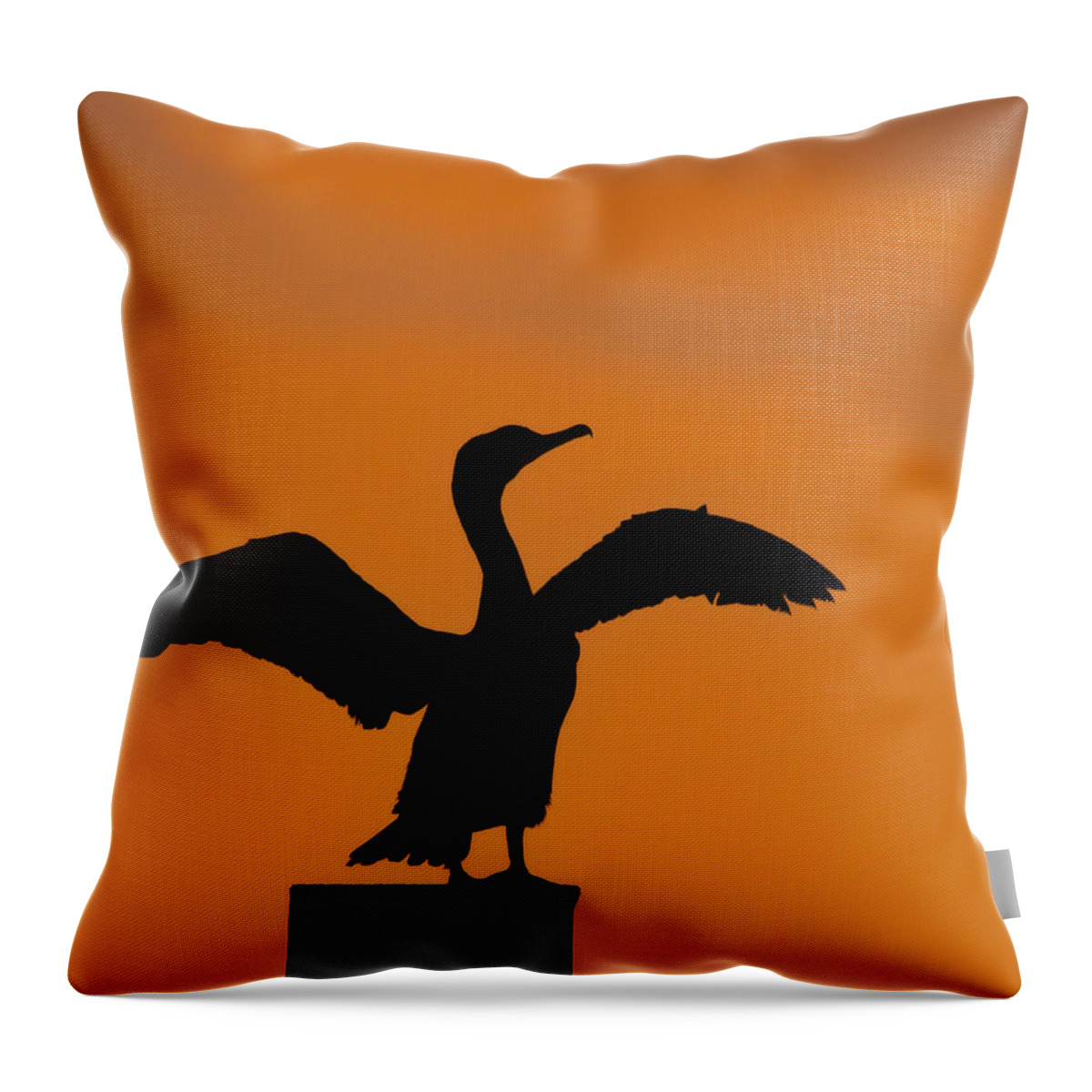 Double-crested Cormorant Throw Pillow featuring the photograph Dawn of a Double-crested Cormorant by Tony Beck