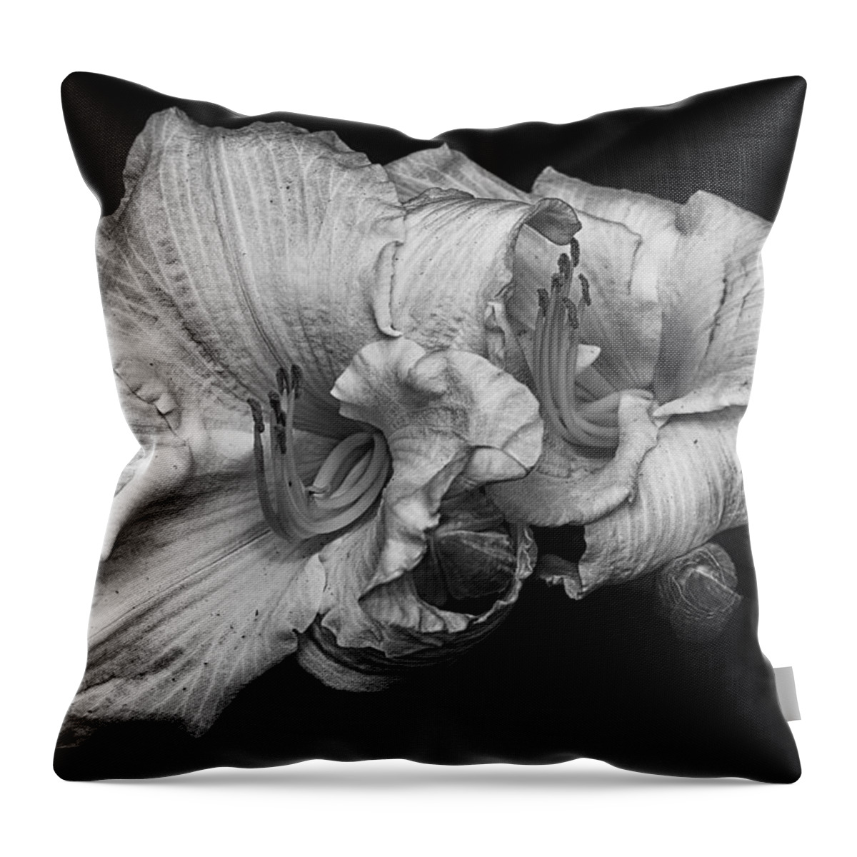 Lilies Throw Pillow featuring the photograph Day lilies by Eunice Gibb