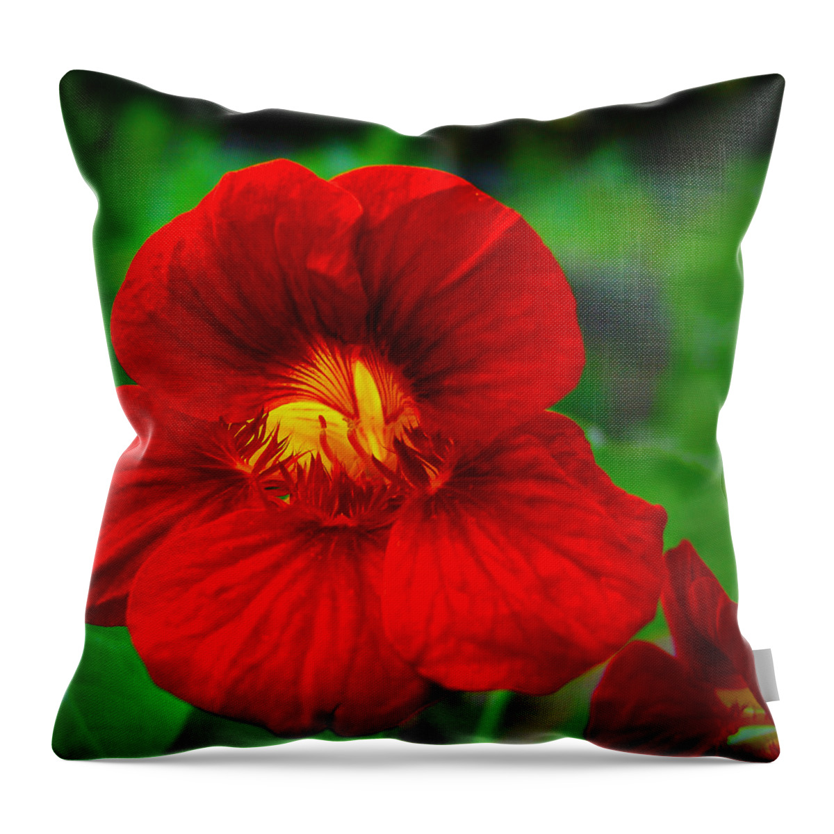 Day Lily Throw Pillow featuring the photograph Day Lily by Bill Barber