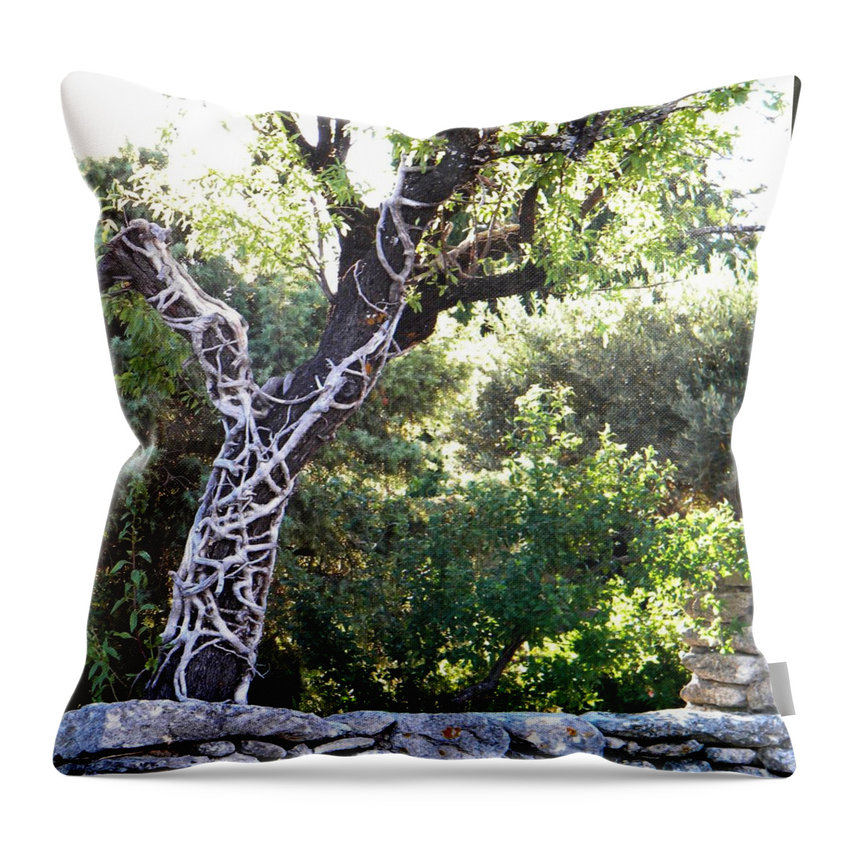 Tree Throw Pillow featuring the photograph Death does not us part by Manuela Constantin