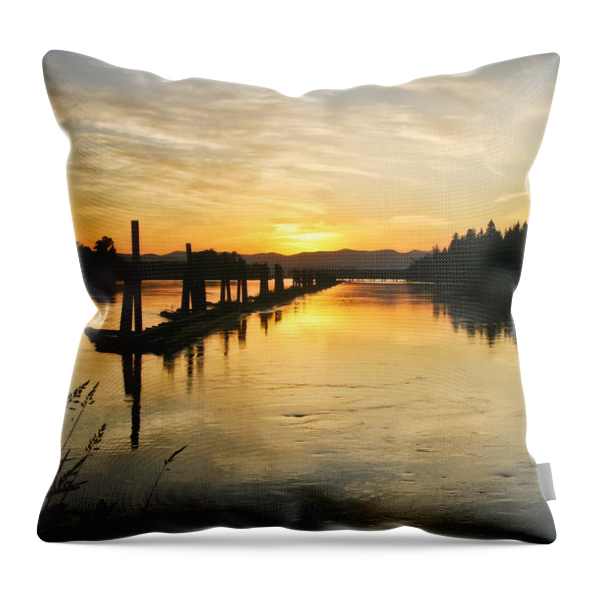 Clark Fork Throw Pillow featuring the photograph Delta Sunset by Albert Seger