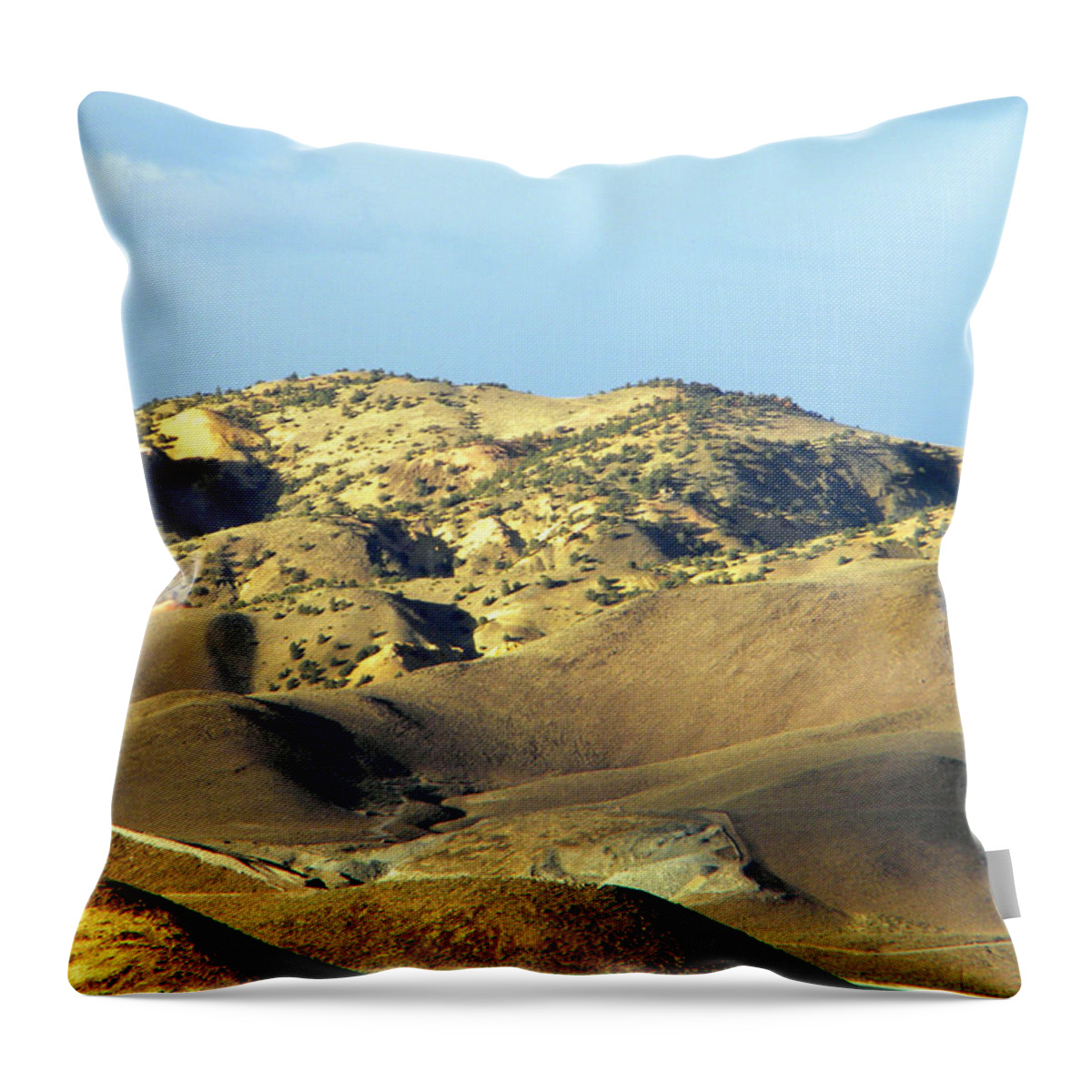  Frank Wilson Throw Pillow featuring the photograph Desert heights West Of Reno Nevada by Frank Wilson