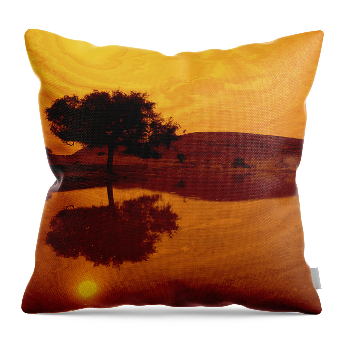 Desert Throw Pillow featuring the photograph Desert Reflections by Valerie Rosen