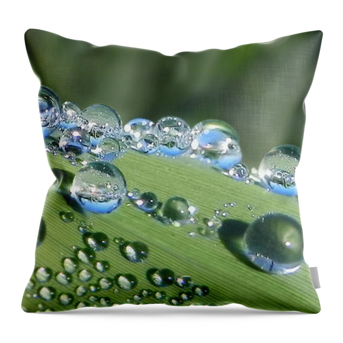 Beads Throw Pillow featuring the photograph Dew Beads by Frances Miller