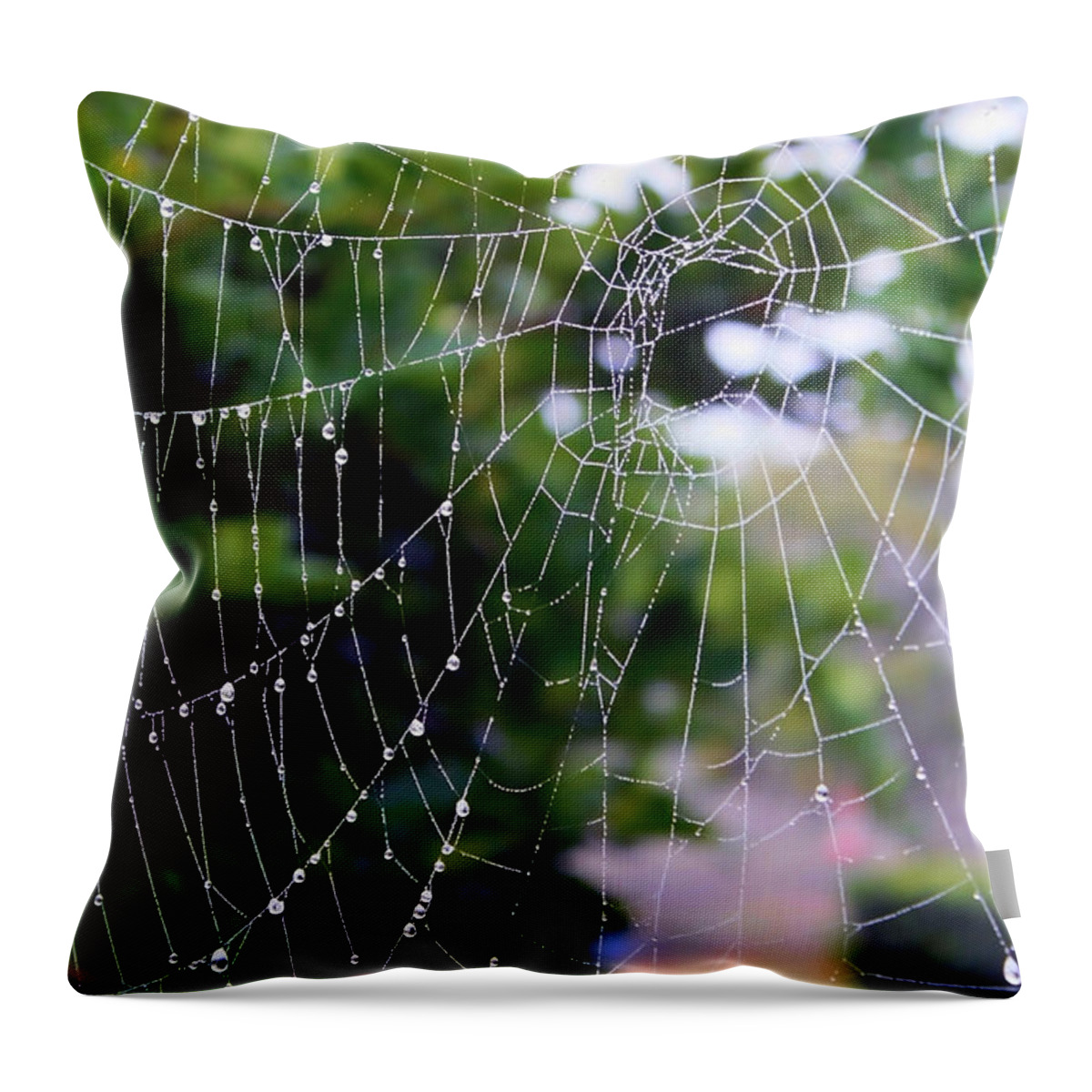 Dewdrops On Spider Web Throw Pillow featuring the photograph Dewdrops Dimension by Carol Groenen