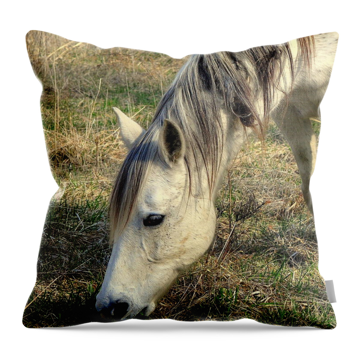Horses Throw Pillow featuring the photograph Dinner Time by Marty Koch