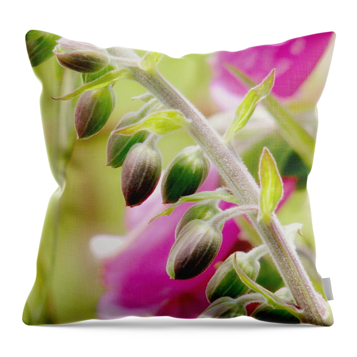 Foxglove Throw Pillow featuring the photograph Discussing When To Bloom by Rory Siegel